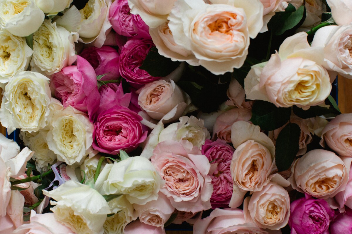 Peonies & Garden Roses
