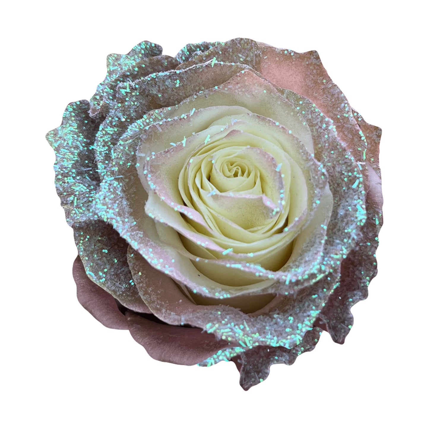 Shimmer My Roses (Iridescent Glimmer) – CHRISTELL'S FLOWERS, Killeen TX