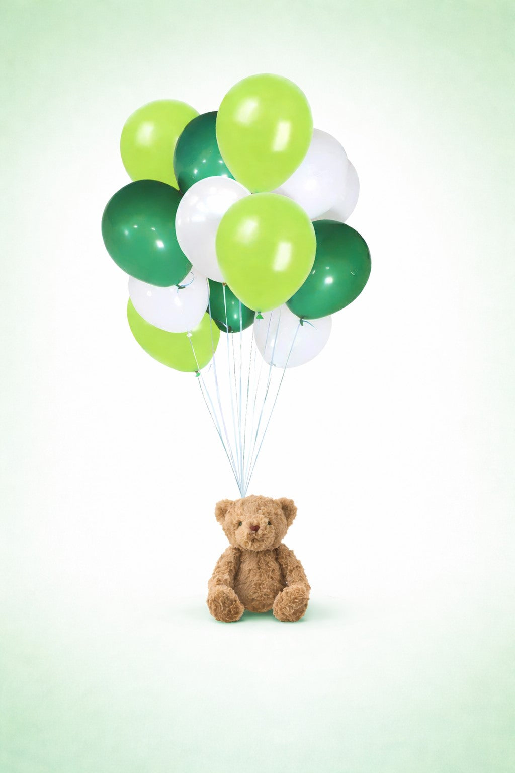 Lucky Bear Balloon Bundle