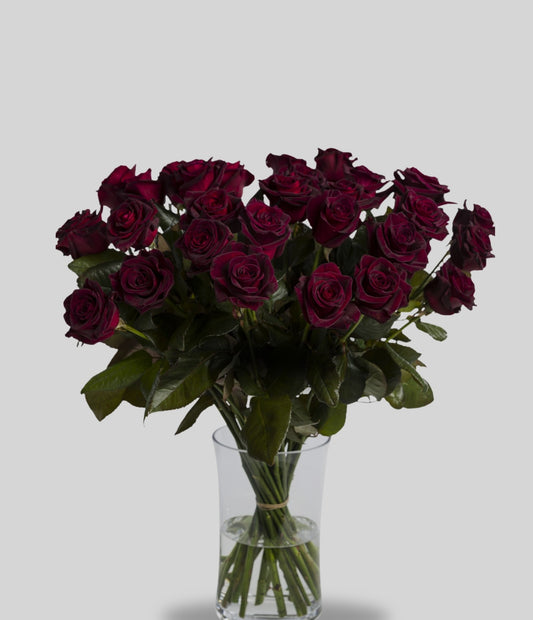 Black Baccara Roses