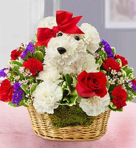 Love Pup – CHRISTELL'S FLOWERS, Killeen TX