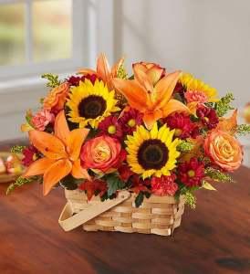 Autumn Fields Basket – CHRISTELL'S FLOWERS, Killeen TX