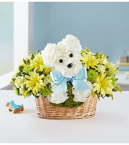 Baby A-Dog-Able – CHRISTELL'S FLOWERS, Killeen TX