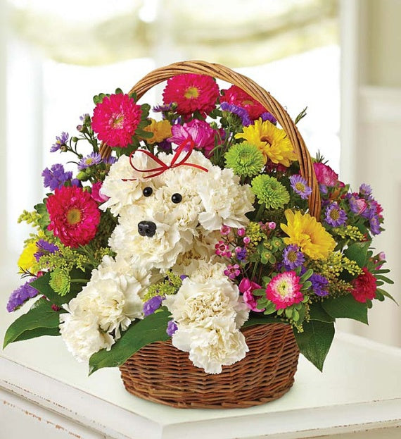 Adorable A-Dog-able – CHRISTELL'S FLOWERS, Killeen TX