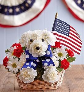 Yankee Doodle Doggie – CHRISTELL'S FLOWERS, Killeen TX