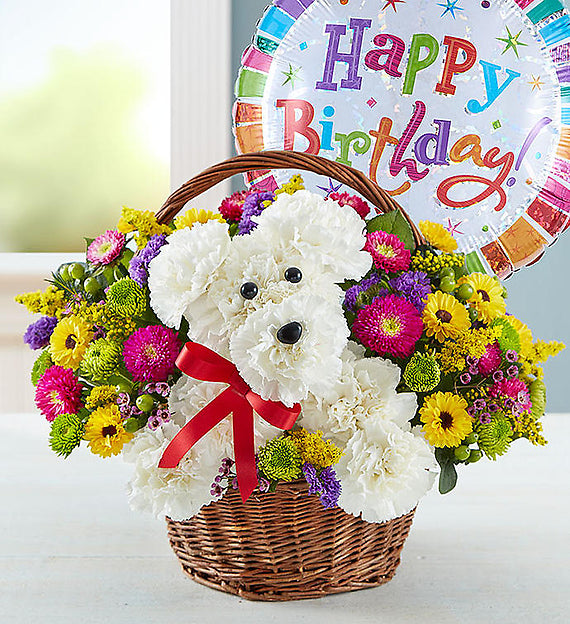 Party Animal – CHRISTELL'S FLOWERS, Killeen TX