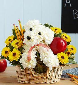 Teacher's Pet – CHRISTELL'S FLOWERS, Killeen TX
