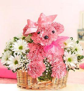 Princess Paws – CHRISTELL'S FLOWERS, Killeen TX