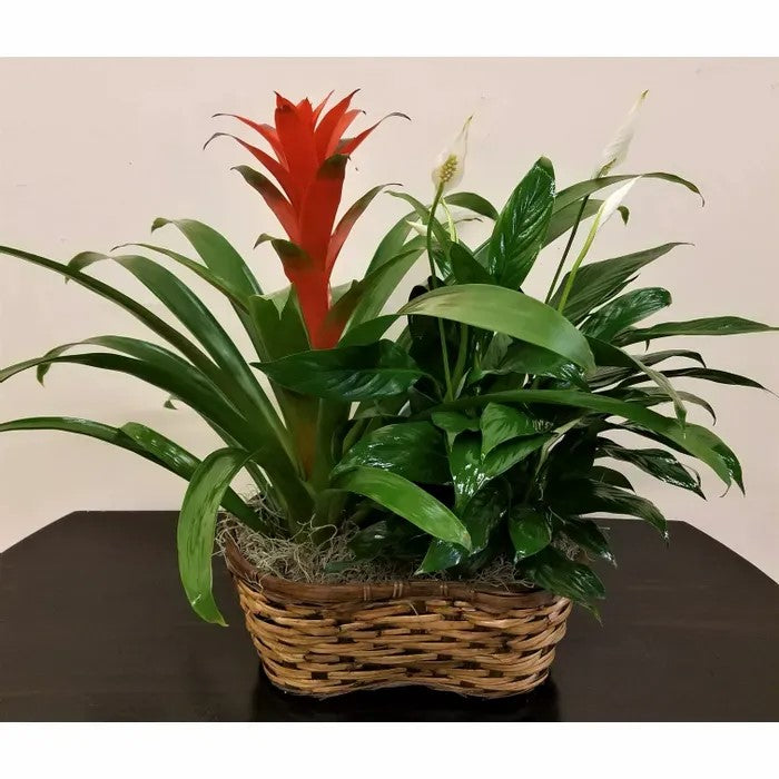 Exotic Leaves Basket – CHRISTELL'S FLOWERS, Killeen TX