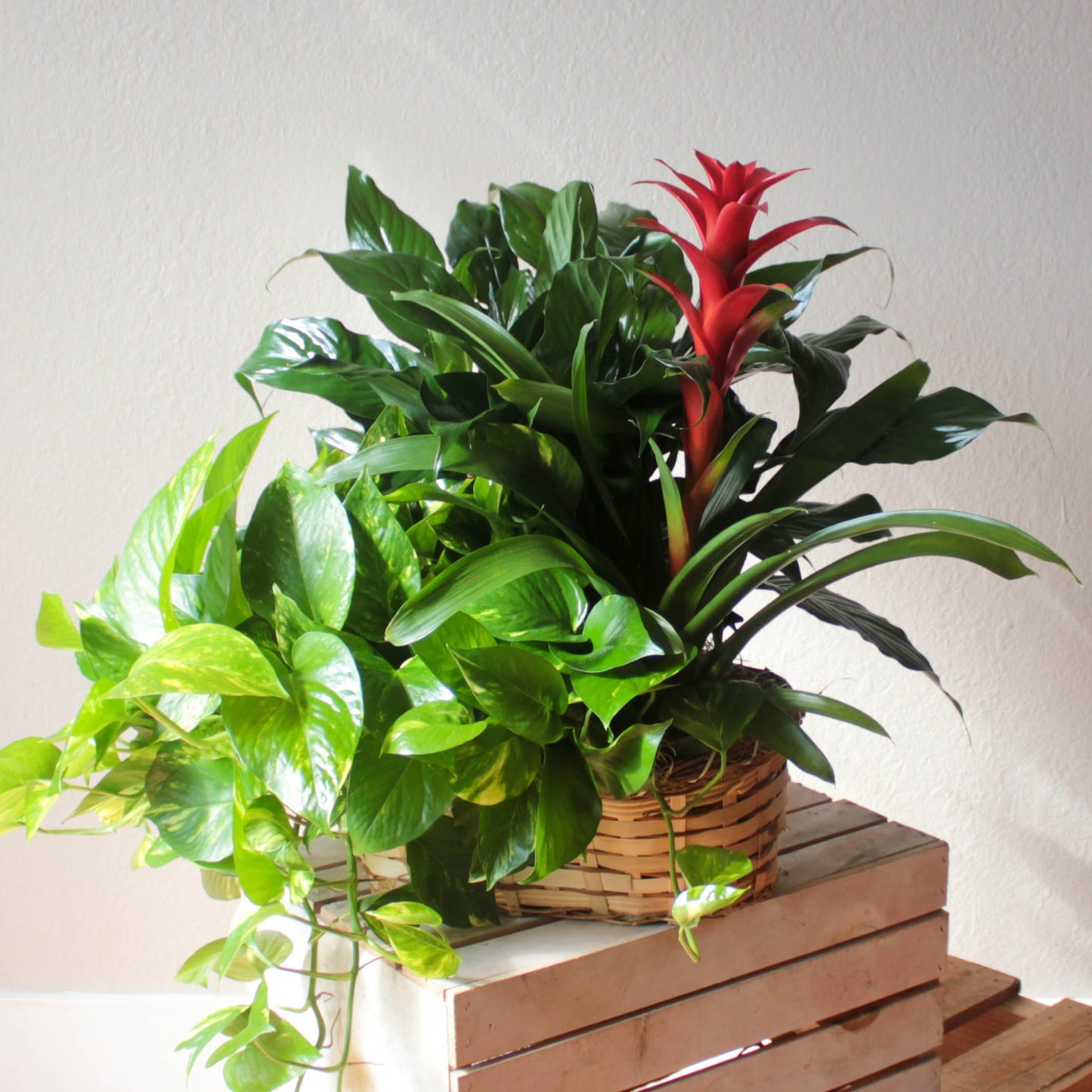 Exotic Leaves Basket