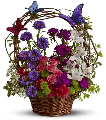 Butterfly Basket – CHRISTELL'S FLOWERS, Killeen TX