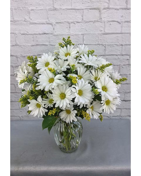 Darling Daisies