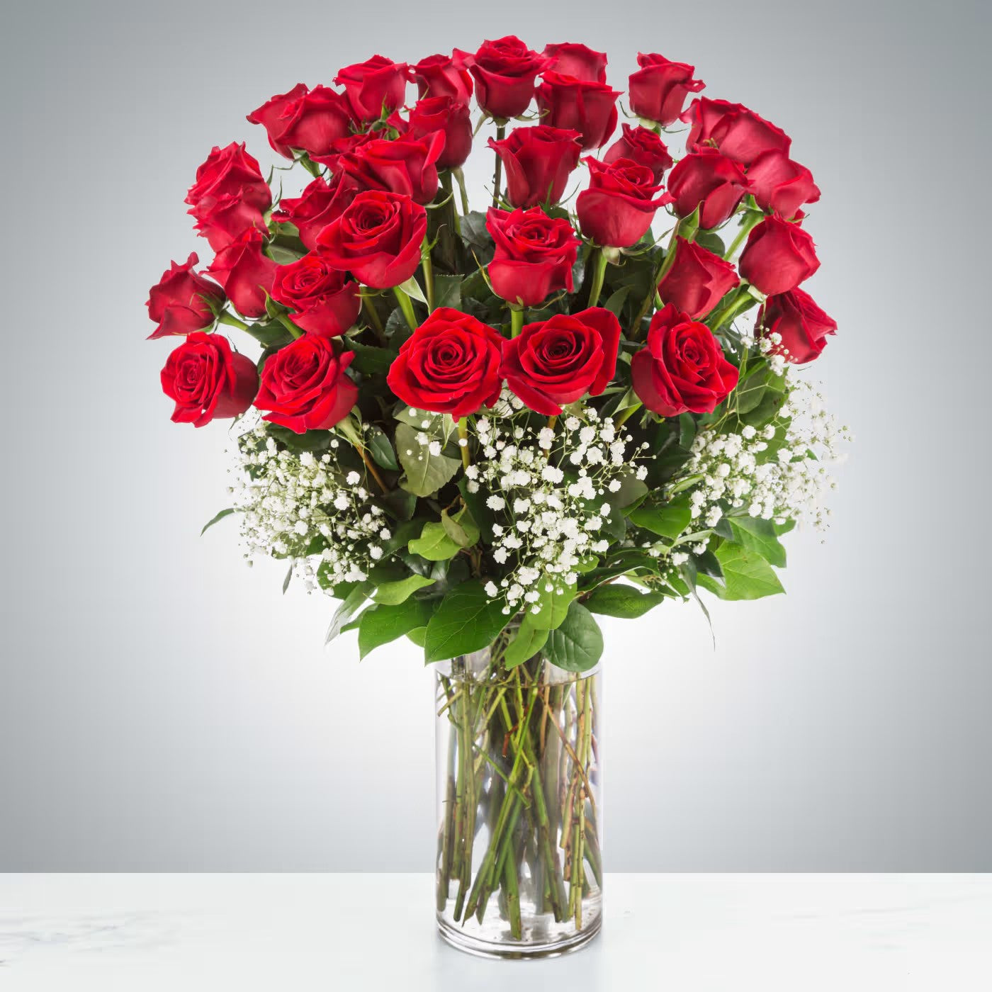 Classic Red Roses