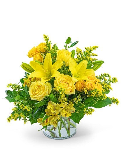 Spring Surprise