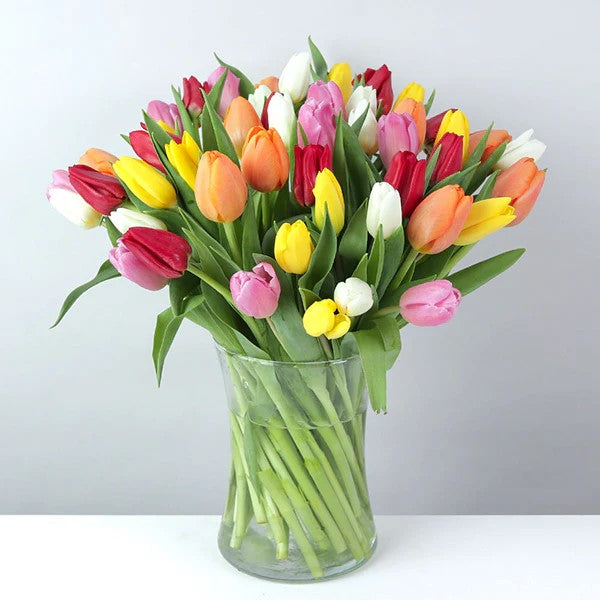Timeless Tulips – CHRISTELL'S FLOWERS, Killeen TX
