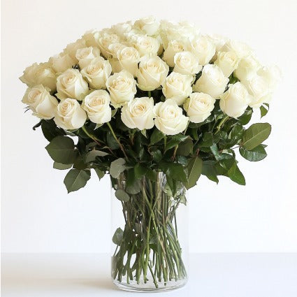 Classic White Roses