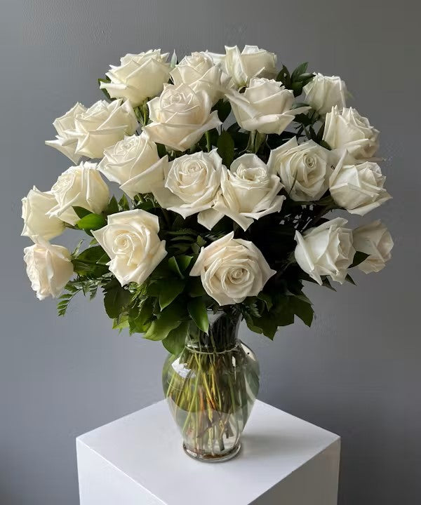 Classic White Roses