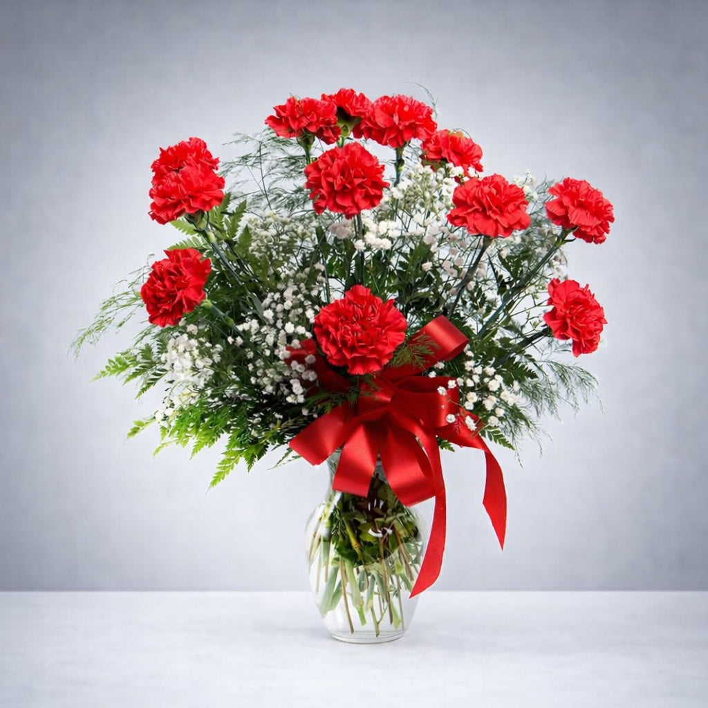 Classic Carnations (multi options)