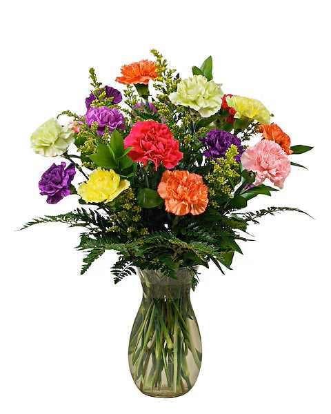 Classic Carnations