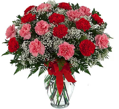 Classic Carnations