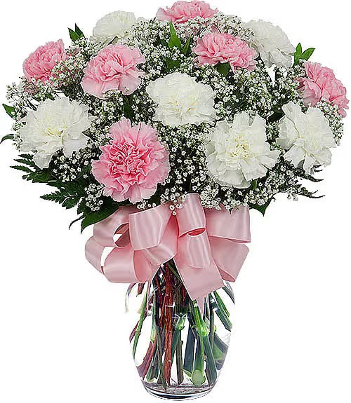 Classic Carnations (multi options) – CHRISTELL'S FLOWERS, Killeen TX