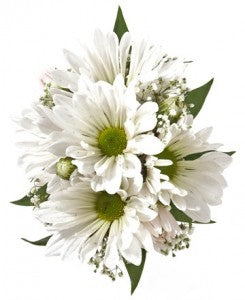 Daisy Corsage & Boutonniere