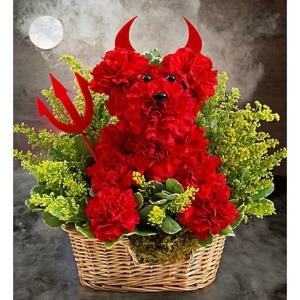 Devil Dog – CHRISTELL'S FLOWERS, Killeen TX
