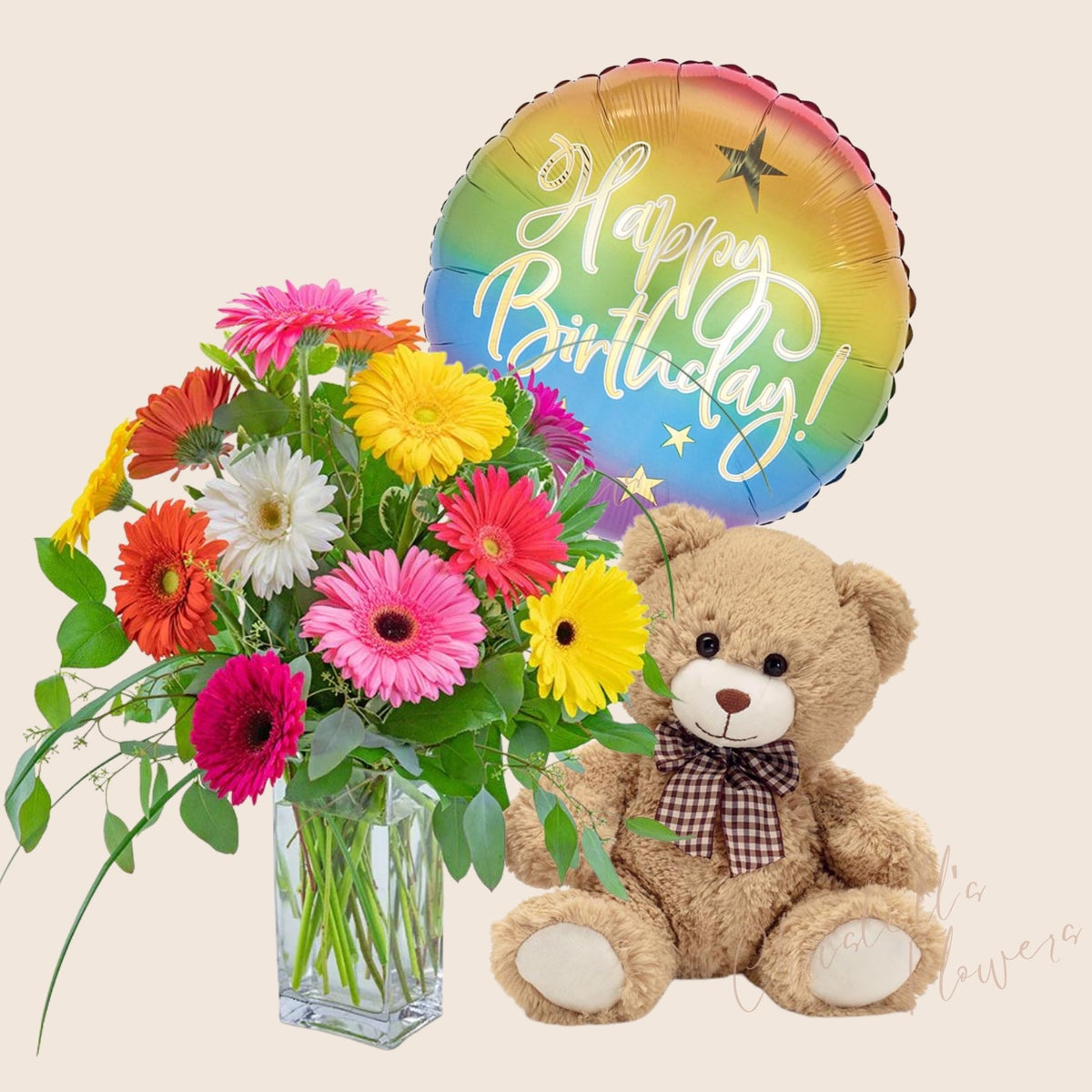 One Dozen Gerbera Daisies – CHRISTELL'S FLOWERS, Killeen TX