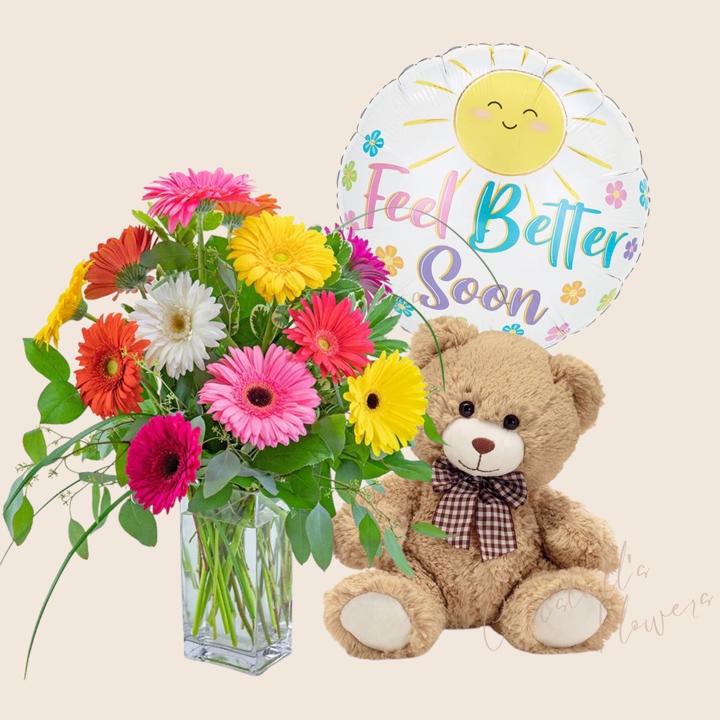 One Dozen Gerbera Daisies