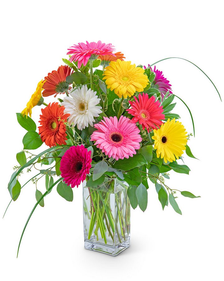One Dozen Gerbera Daisies – CHRISTELL'S FLOWERS, Killeen TX