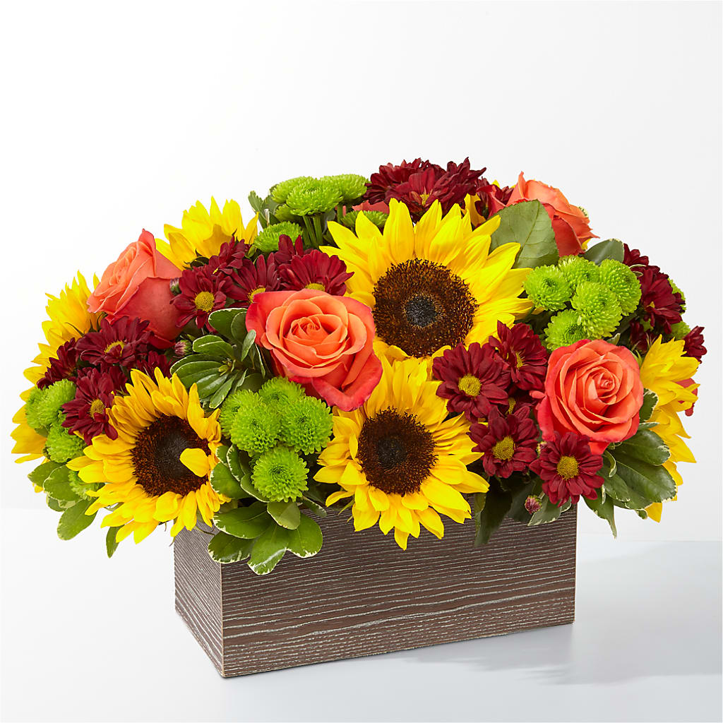 Happy Harvest Garden – CHRISTELL'S FLOWERS, Killeen TX