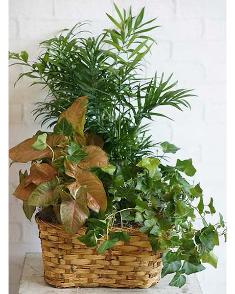 Lovely Leaves Basket Triple – CHRISTELL'S FLOWERS, Killeen TX