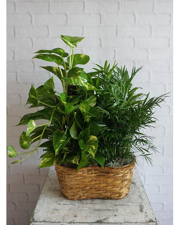 Lovely Leaves Basket Double – CHRISTELL'S FLOWERS, Killeen TX