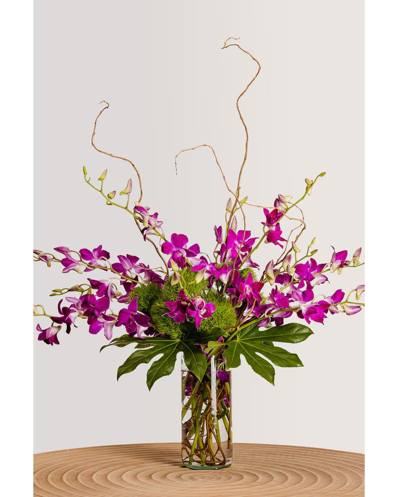 Orchid Sensation – CHRISTELL'S FLOWERS, Killeen TX