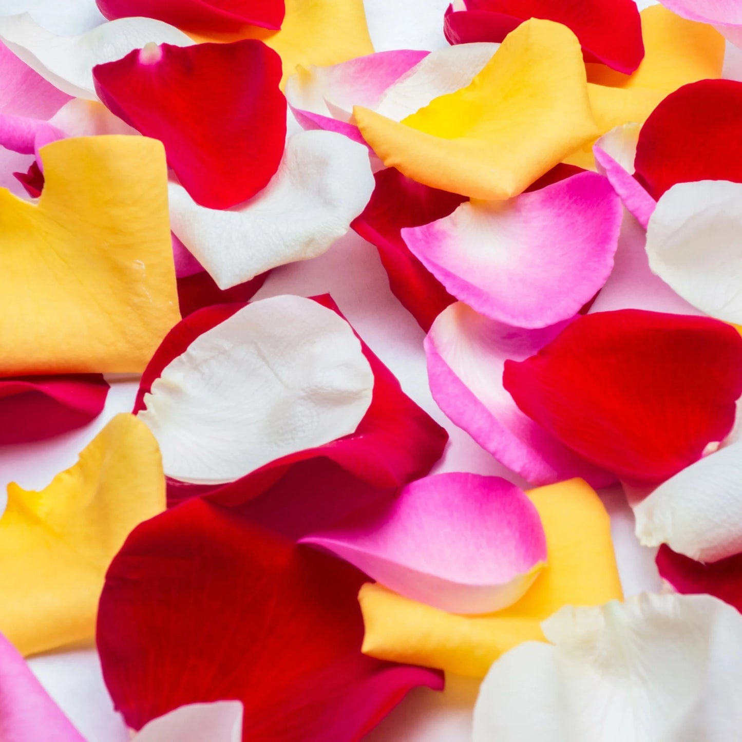 Rose Petals – CHRISTELL'S FLOWERS, Killeen TX