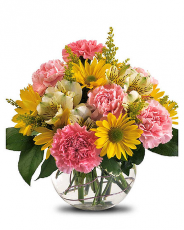 Pocket of Posies