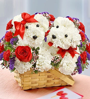 Pups In Love – CHRISTELL'S FLOWERS, Killeen TX