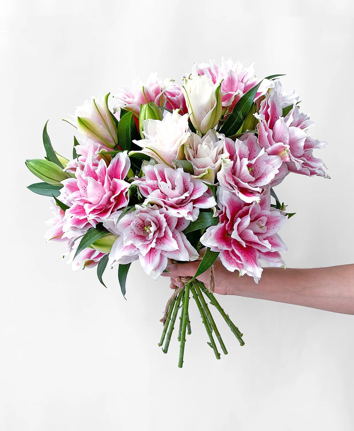 Roselilies