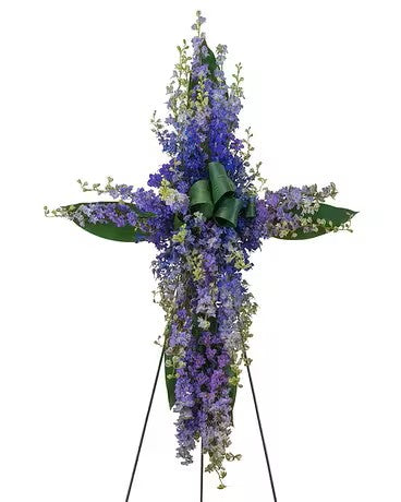 Delphinium Cross