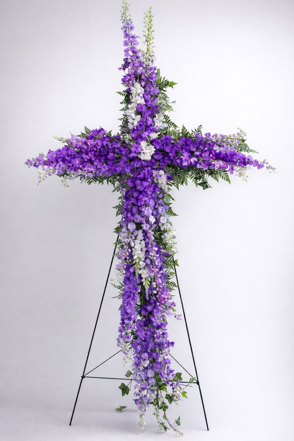 Delphinium Cross