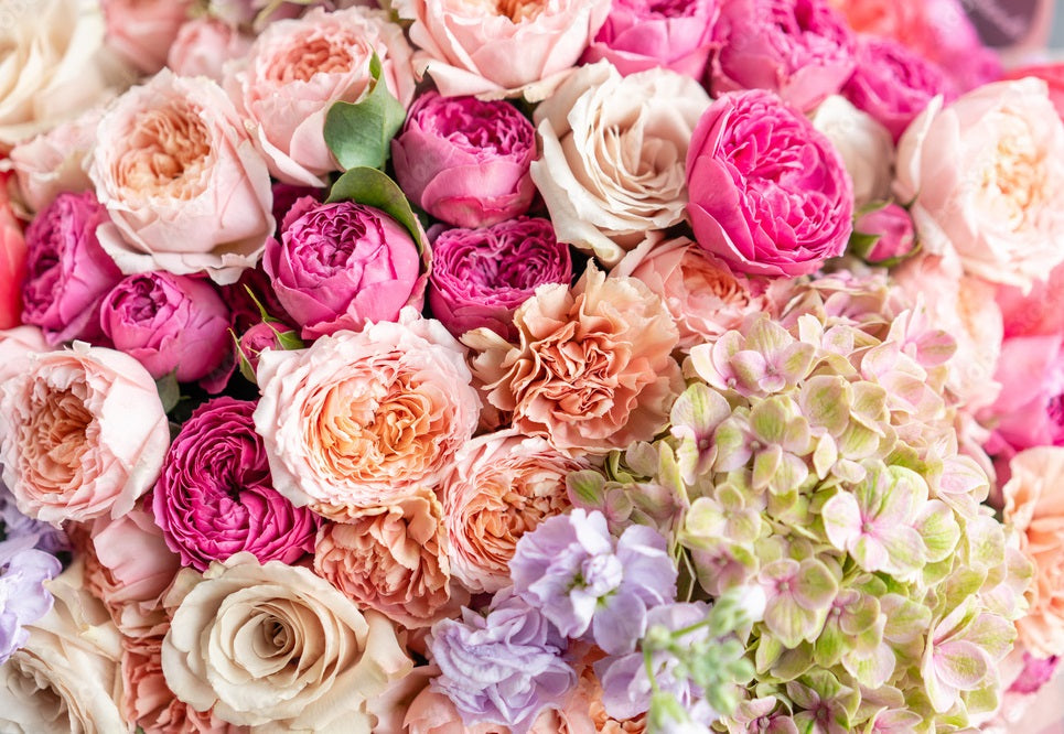 Administrative Professionals Week