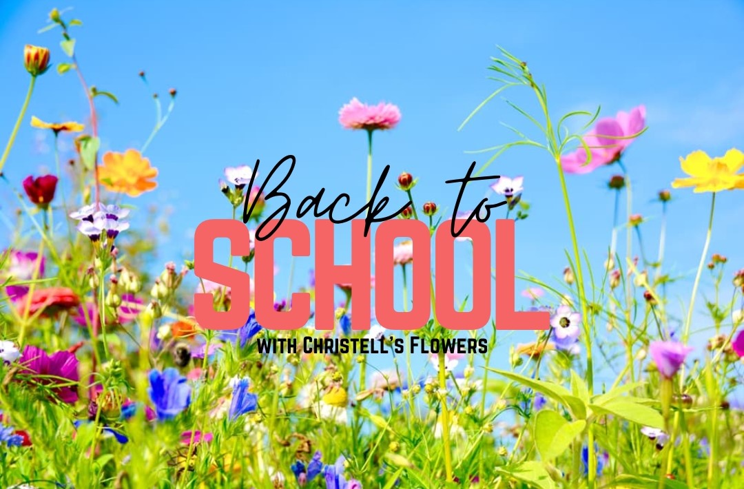 Back to School!