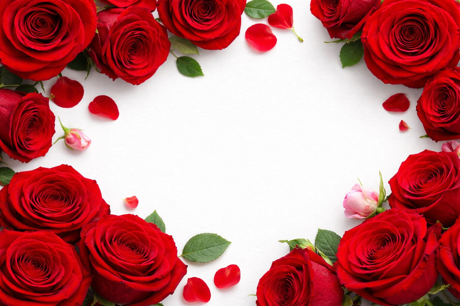 Valentine's Day