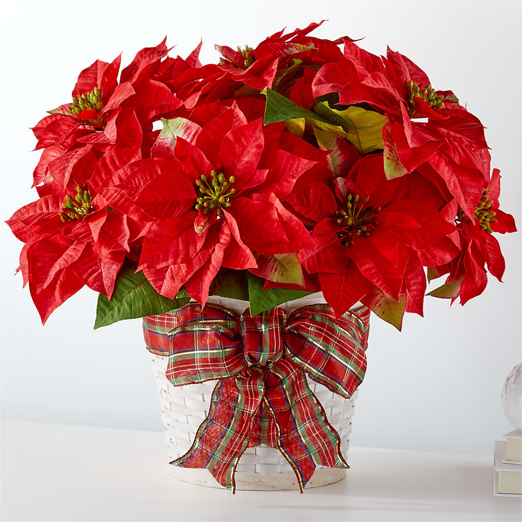 Holiday Poinsettia