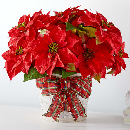Holiday Poinsettia