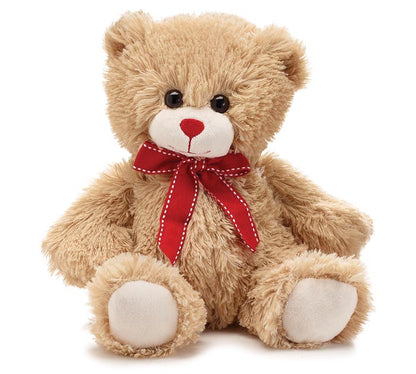 Plush Teddy Bear