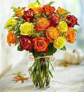 18 Premium Autumn Roses