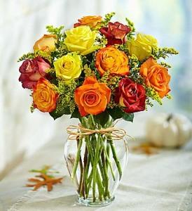 Dz Premium Autumn Roses