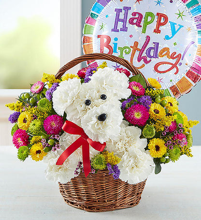 Party Animal – CHRISTELL'S FLOWERS, Killeen TX