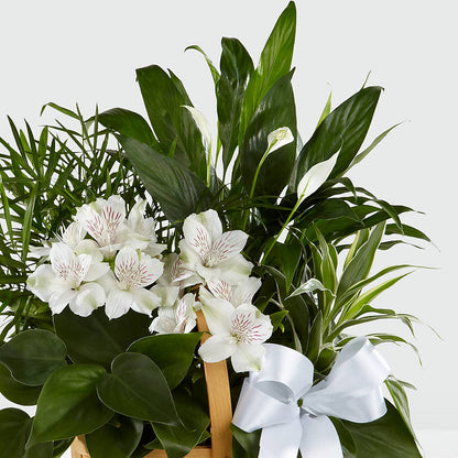 Peace & Serenity Dishgarden – CHRISTELL'S FLOWERS, Killeen TX